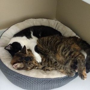 Meet your Posher, Lynne